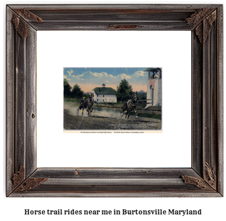 horse trail rides near me in Burtonsville, Maryland